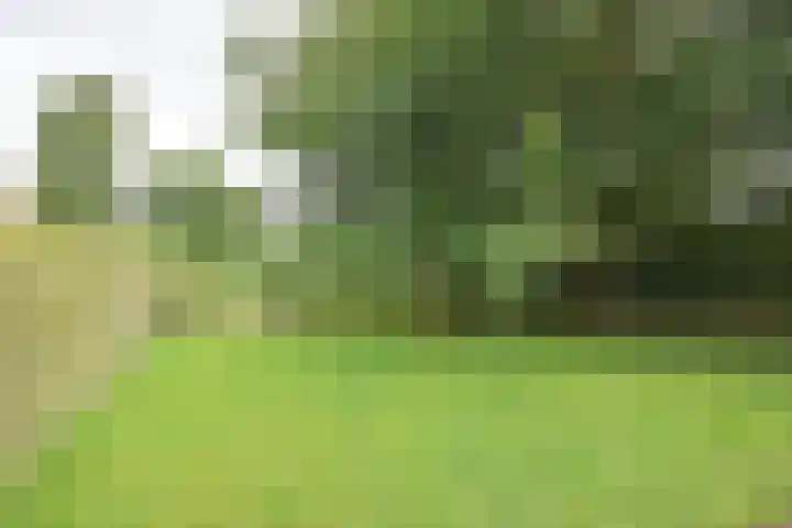 Bûtendykswei 52 Ingwierrum thumbnail 21