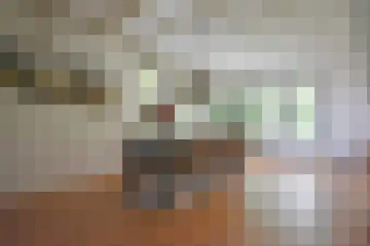 Bûtendykswei 52 Ingwierrum thumbnail 27