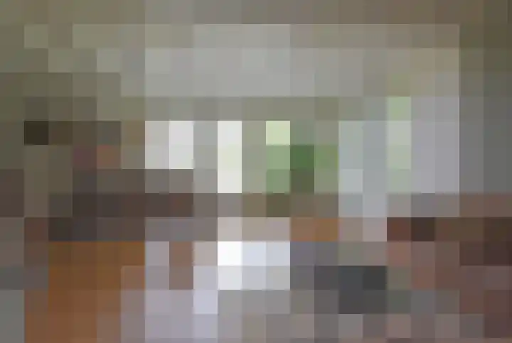 Bûtendykswei 52 Ingwierrum thumbnail 30