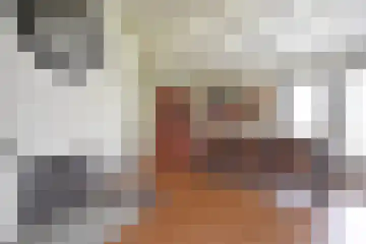 Bûtendykswei 52 Ingwierrum thumbnail 31