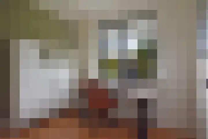 Bûtendykswei 52 Ingwierrum thumbnail 37