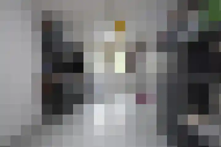 Bûtendykswei 52 Ingwierrum thumbnail 42