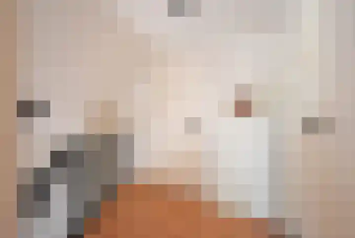 Bûtendykswei 52 Ingwierrum thumbnail 47
