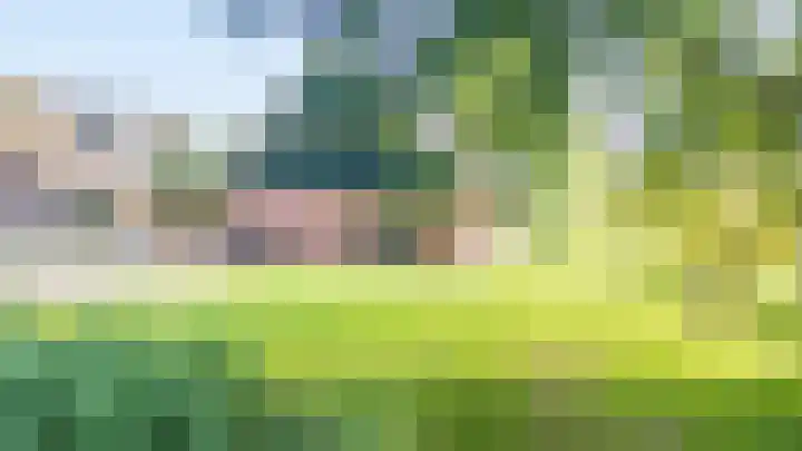 Bûtendykswei 52 Ingwierrum thumbnail 8