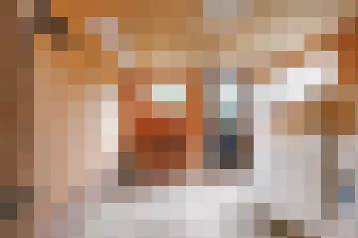 Bûterhoeke 10 Berltsum thumbnail 34