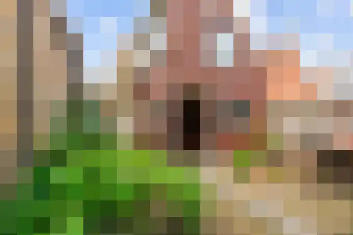 Bûterhoeke 10 Berltsum thumbnail 40