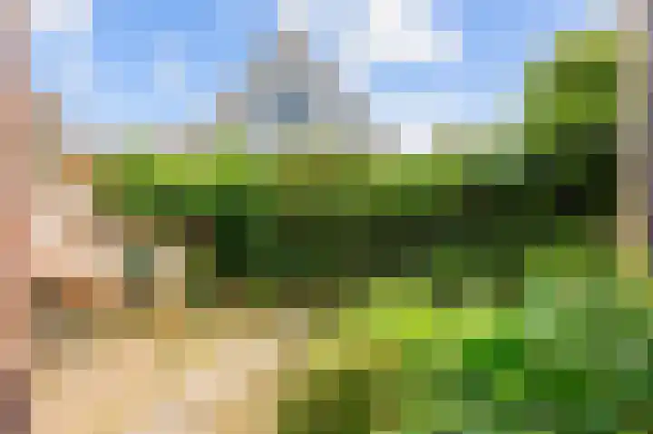 Bûterhoeke 10 Berltsum thumbnail 41