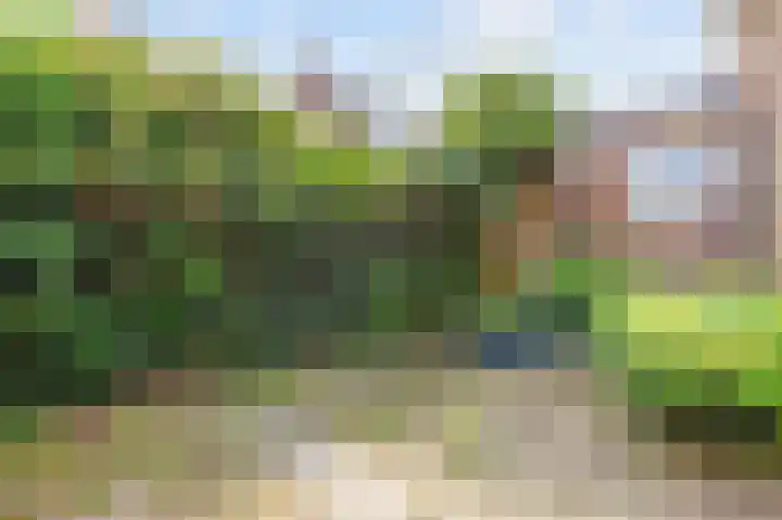 Bûterhoeke 10 Berltsum thumbnail 42