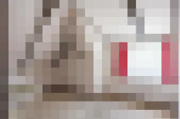 Bûterhoeke 10 Berltsum thumbnail 47