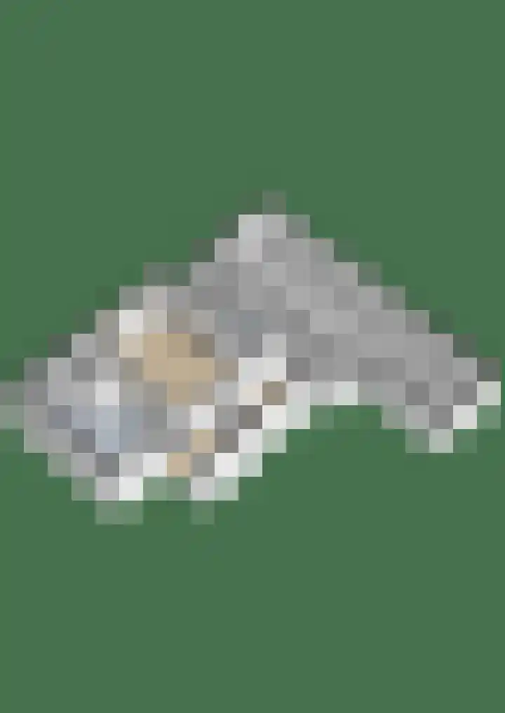 Bûterhoeke 10 Berltsum thumbnail 57