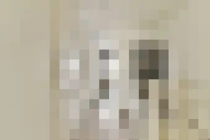 Buurkamp 11 Rotterdam thumbnail 14
