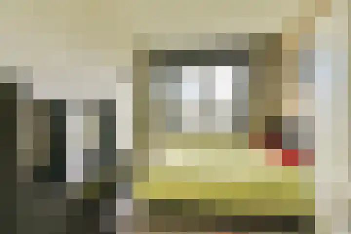 Buurkamp 11 Rotterdam thumbnail 19