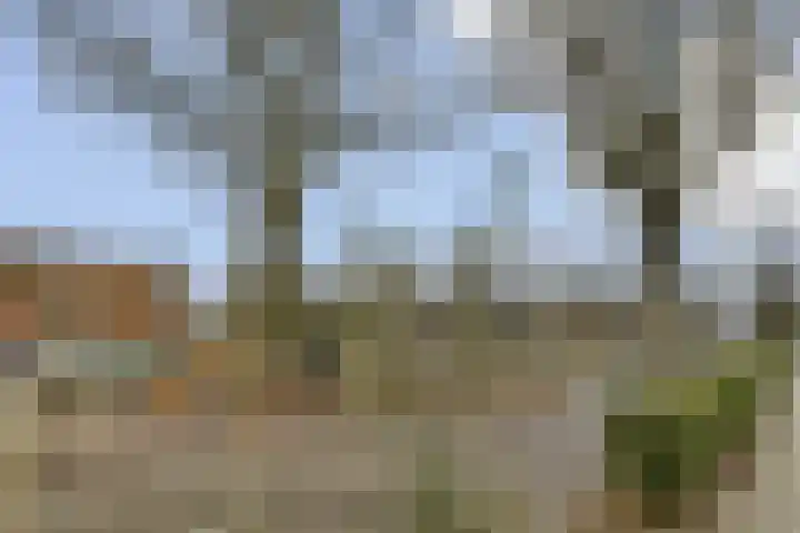Buurkamp 11 Rotterdam thumbnail 25
