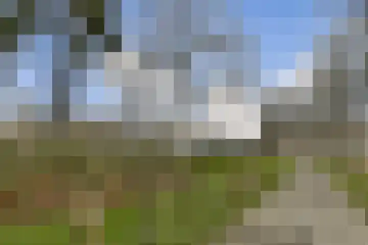 Buurkamp 11 Rotterdam thumbnail 27