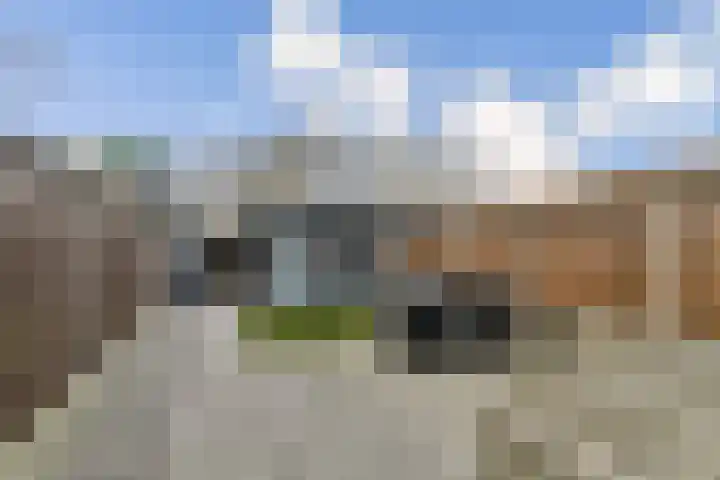 Buurkamp 11 Rotterdam thumbnail 4