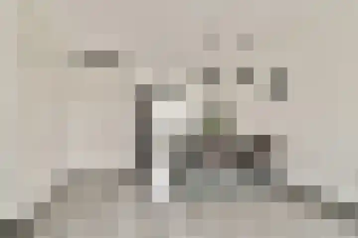 Buurkamp 11 Rotterdam thumbnail 8