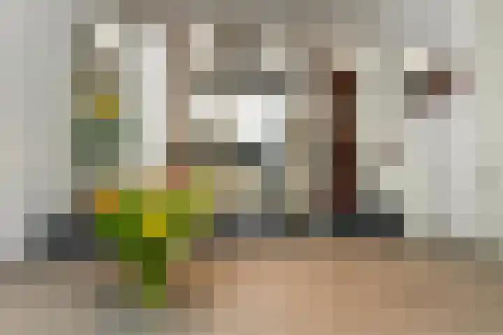 Buurmeester 14 Elst thumbnail 10