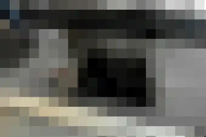 Buurmeester 14 Elst thumbnail 16