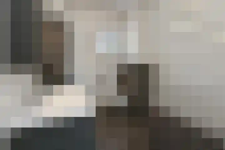 Buurmeester 14 Elst thumbnail 26