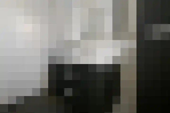 Buurmeester 14 Elst thumbnail 28