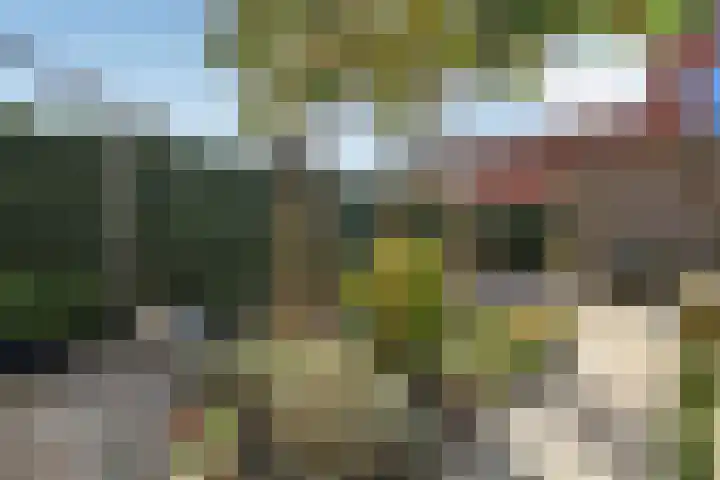 Buurmeester 14 Elst thumbnail 35