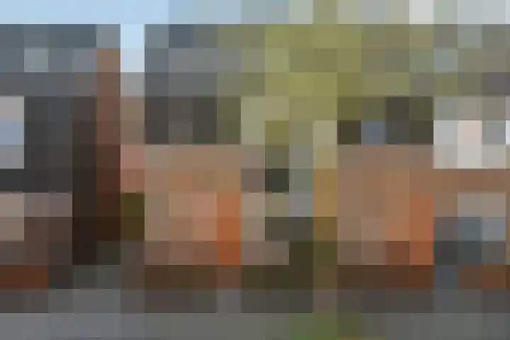 Buurmeester 14 Elst thumbnail 43