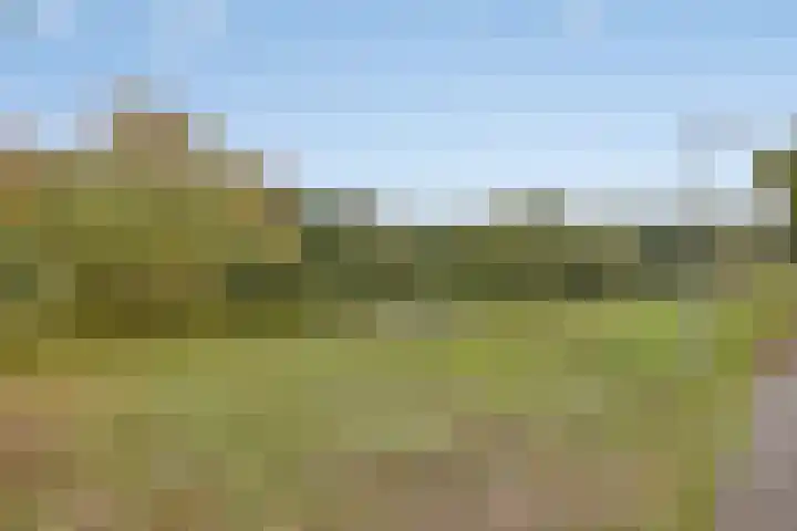 Buursebrink 4 Enschede thumbnail 35