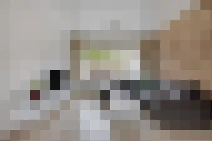 Buursebrink 4 Enschede thumbnail 6