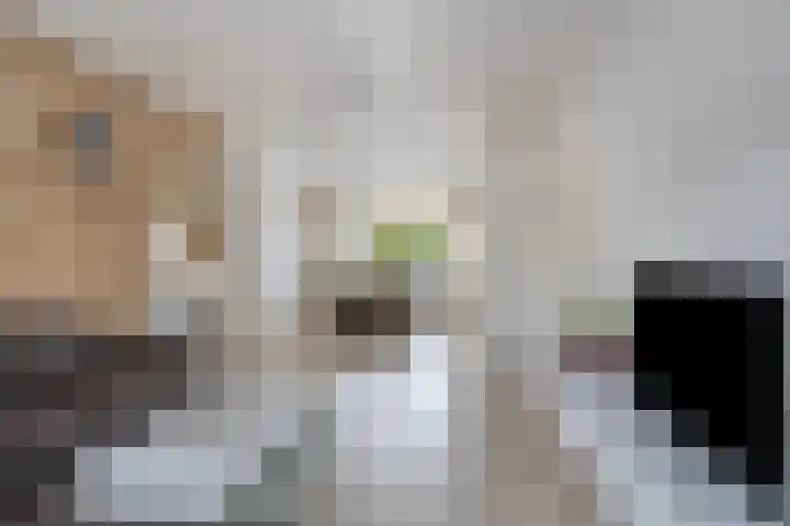 Buursebrink 4 Enschede thumbnail 9