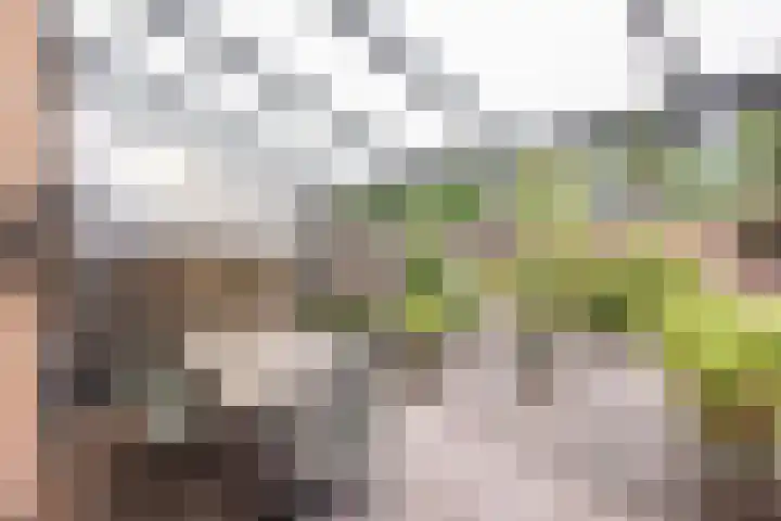 Buursebrink 51 Enschede thumbnail 20