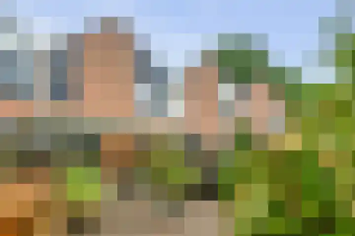 Buursebrink 51 Enschede thumbnail 22