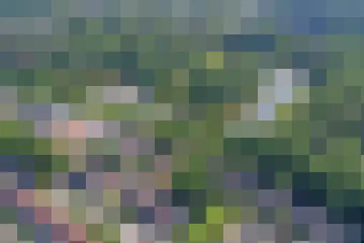 Buursebrink 89 Enschede thumbnail 23