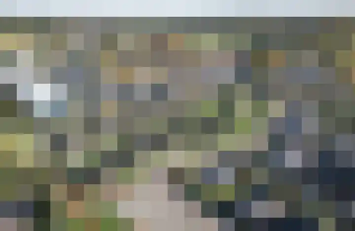 Buurskamp 18 Wezep thumbnail 6