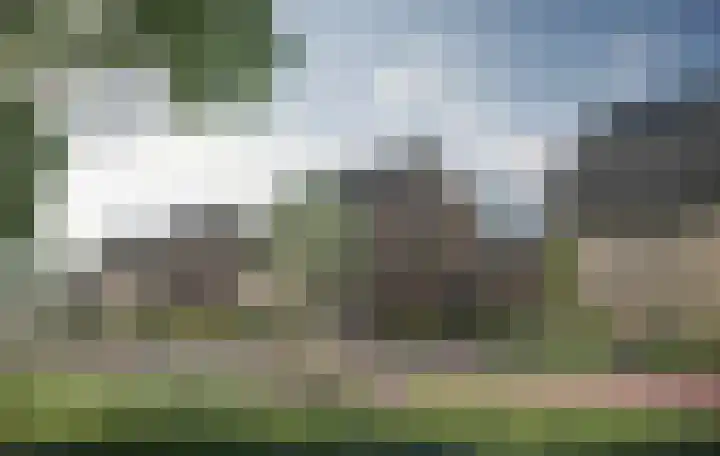 Buurskamp 4 Wezep foto 2