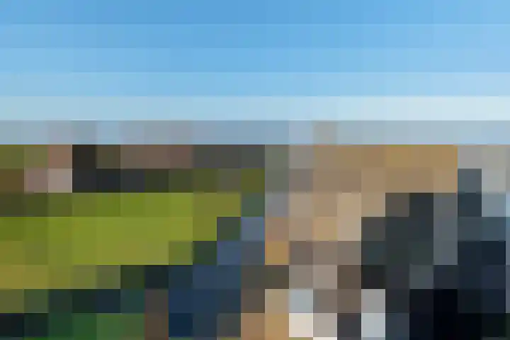 Buurt IV 21 Marken thumbnail 32