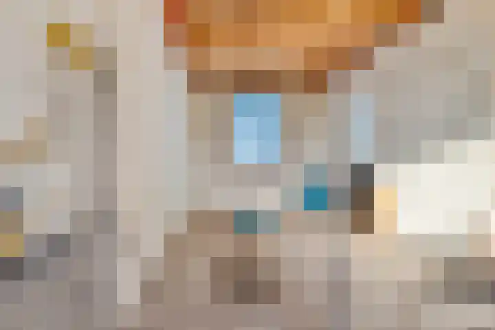 Buurt IV 21 Marken thumbnail 35