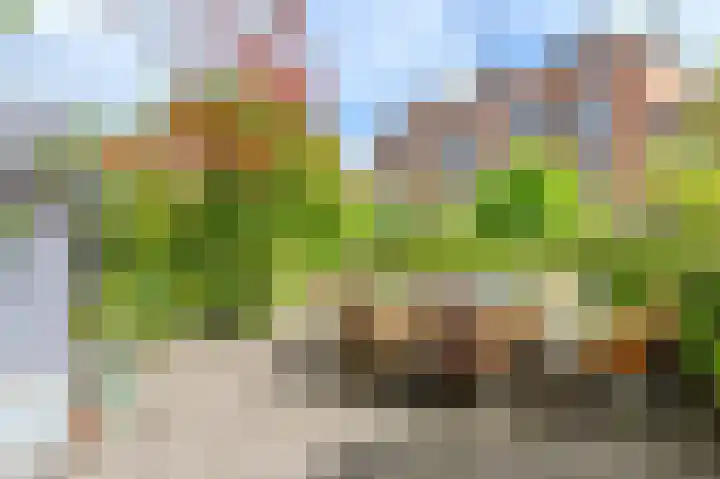 Buurtje 14 Hoorn thumbnail 30