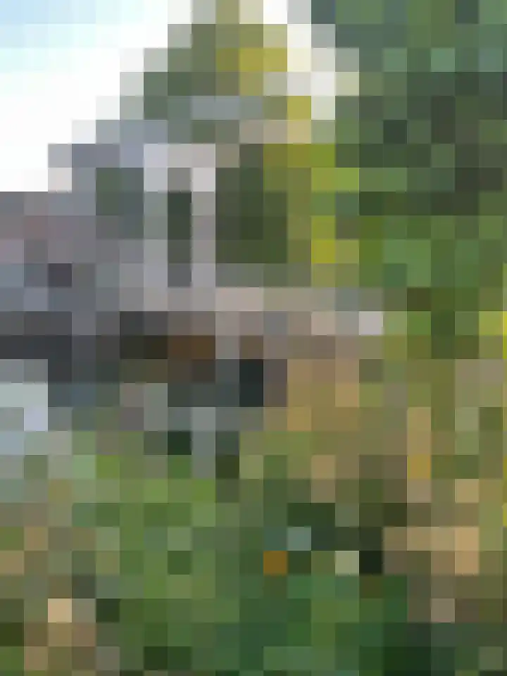 Buurtje 14 Hoorn thumbnail 39