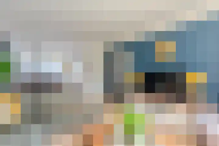 Buurtweg 40 Halsteren thumbnail 12