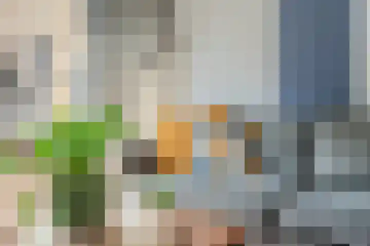 Buurtweg 40 Halsteren thumbnail 13