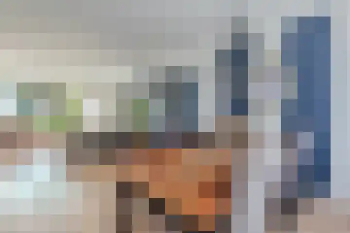 Buurtweg 40 Halsteren thumbnail 15