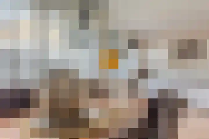 Buurtweg 40 Halsteren thumbnail 16