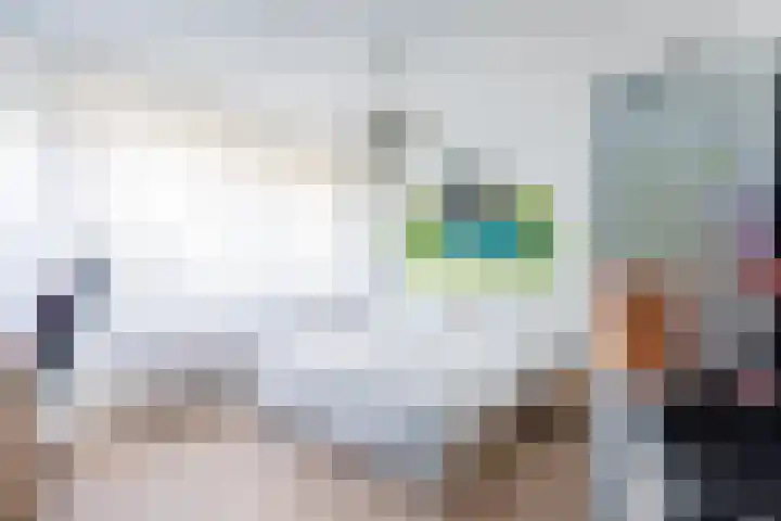 Buurtweg 40 Halsteren thumbnail 22