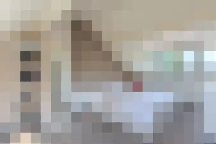 Buurtweg 40 Halsteren thumbnail 30
