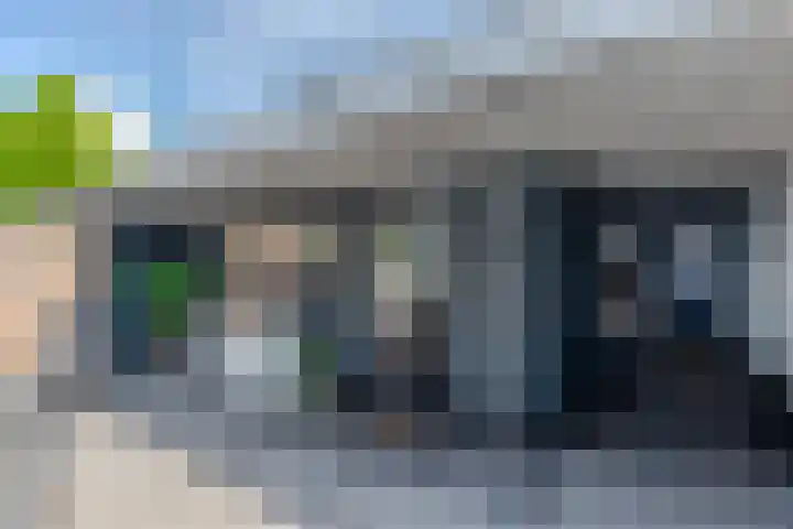 Buurtweg 40 Halsteren thumbnail 36
