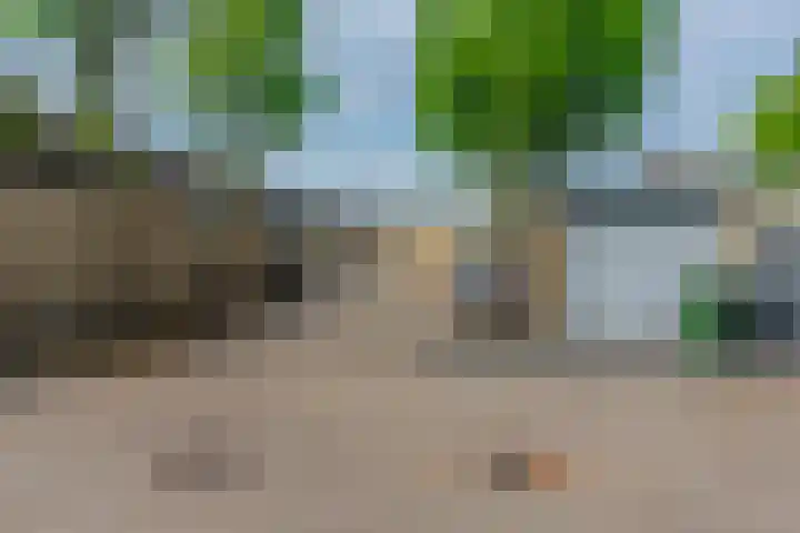 Buurtweg 40 Halsteren thumbnail 39