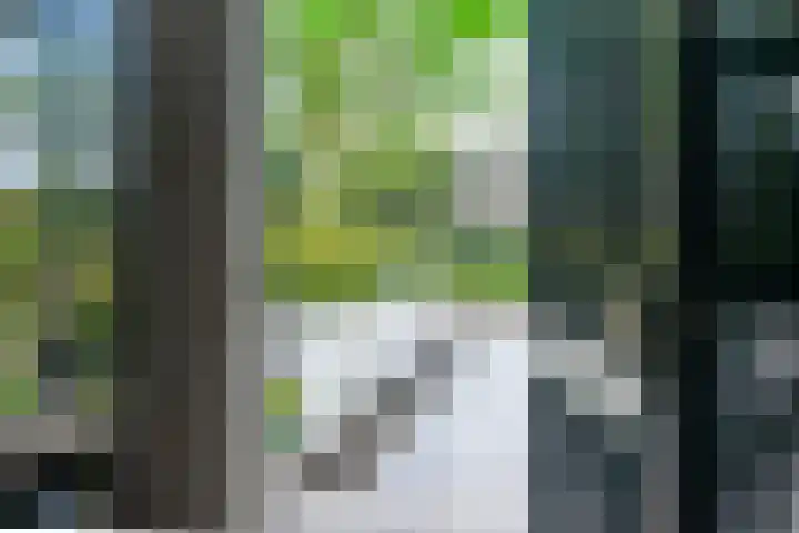 Buurtweg 40 Halsteren thumbnail 4