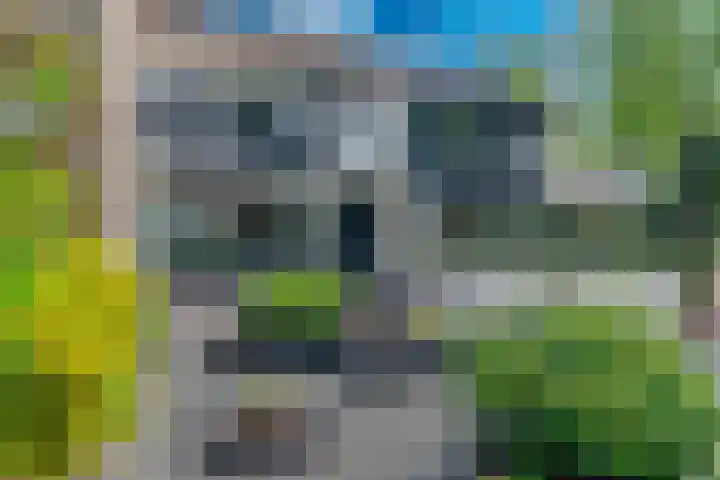 Buurtweg 40 Halsteren thumbnail 48
