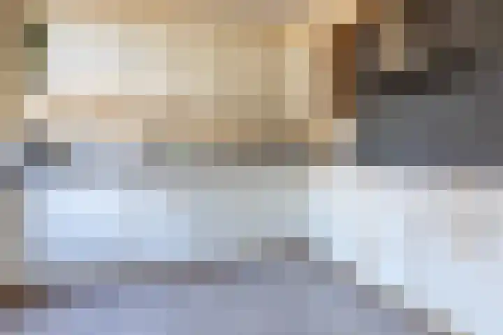 Buurtweg 70 Halsteren thumbnail 10