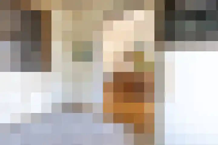 Buurtweg 70 Halsteren thumbnail 11